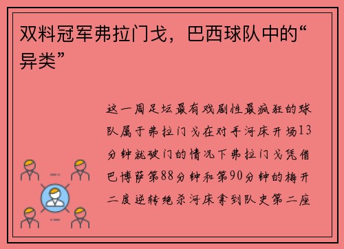 双料冠军弗拉门戈，巴西球队中的“异类”
