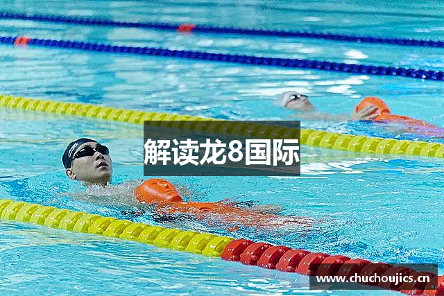 解读龙8国际